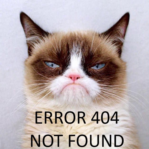 404 Error not found - Strategic Media Partners